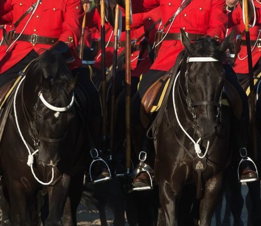 Horse Heroes – Breyerfest 2019