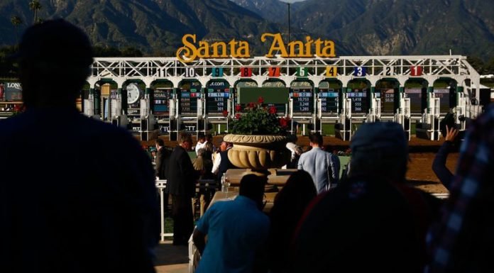 Santa Anita Seems to Think it Knows Best When it Comes to Safety…Death #28 & #29 Now Confirmed.