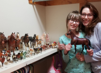 County Girl Won $1000 Breyer Spree