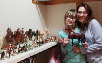 County Girl Won $1000 Breyer Spree