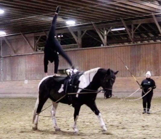 A Sport not for the Faint of Heart