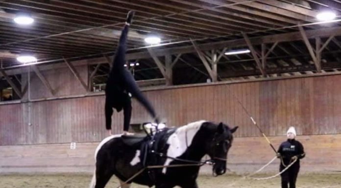 A Sport not for the Faint of Heart