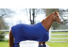 I’m Going out Today, but Which Boots Should I Wear???