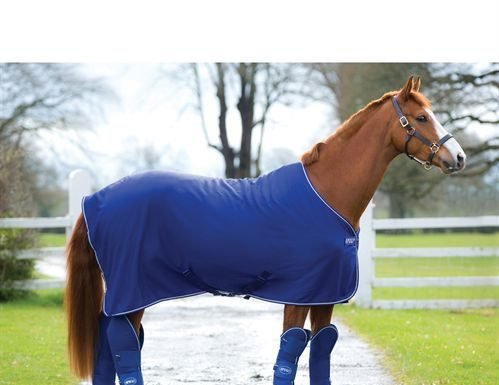 I’m Going out Today, but Which Boots Should I Wear???