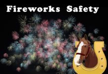 The Bombs Bursting in Air -Keeping Your Horses Safe During the 4th of July