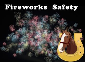 The Bombs Bursting in Air -Keeping Your Horses Safe During the 4th of July