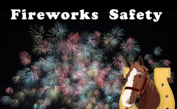 The Bombs Bursting in Air -Keeping Your Horses Safe During the 4th of July