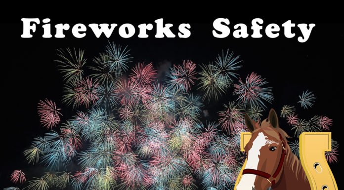 The Bombs Bursting in Air -Keeping Your Horses Safe During the 4th of July