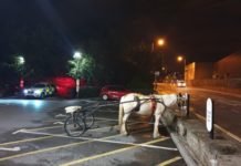 Strange Vehicle Parked in McDonald Parking Lot 4 AM
