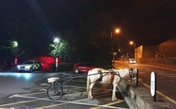 Strange Vehicle Parked in McDonald Parking Lot 4 AM