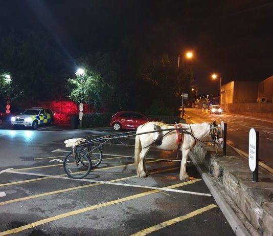 Strange Vehicle Parked in McDonald Parking Lot 4 AM