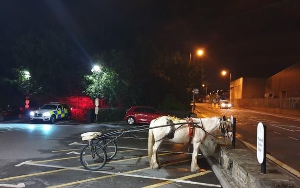 Strange Vehicle Parked in McDonald Parking Lot 4 AM