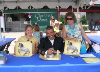 One of a Kind – What Makes a Model a Breyer?