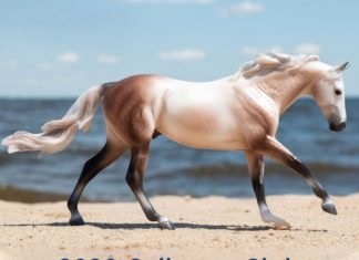 Collector’s Club Renewal is Here!