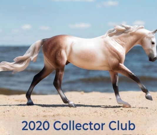 Collector’s Club Renewal is Here!