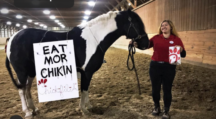 Putting on the Ritz for Halloween