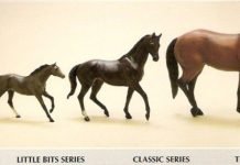 Identifying Your Breyer Model