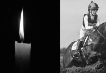 Horses…Beauty and Danger Wrapped into One.