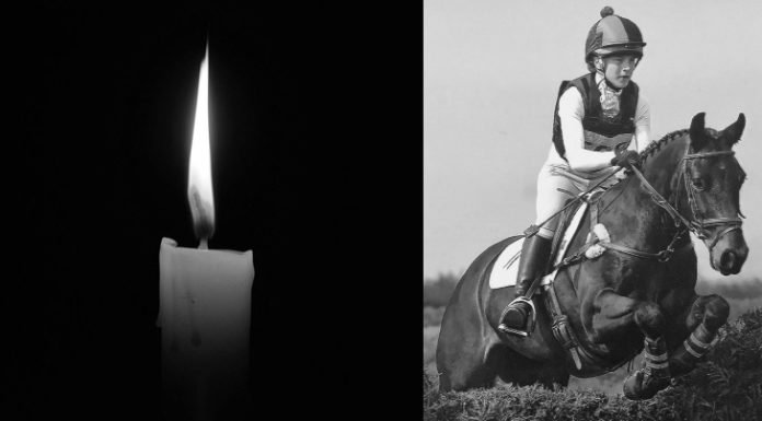 Horses…Beauty and Danger Wrapped into One.