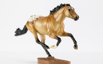 The Special Runs are in