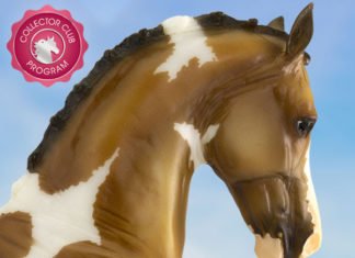 There’s a New Horse in Town!