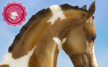 There’s a New Horse in Town!