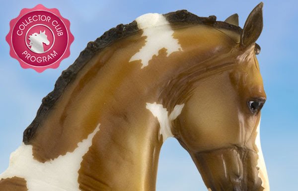 There’s a New Horse in Town!