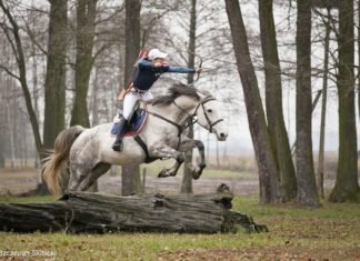 The Thrill of Mounted Archery!