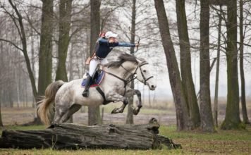The Thrill of Mounted Archery!