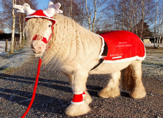 “Happy Christmas vs. Merry Christmas “