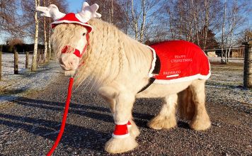 “Happy Christmas vs. Merry Christmas “