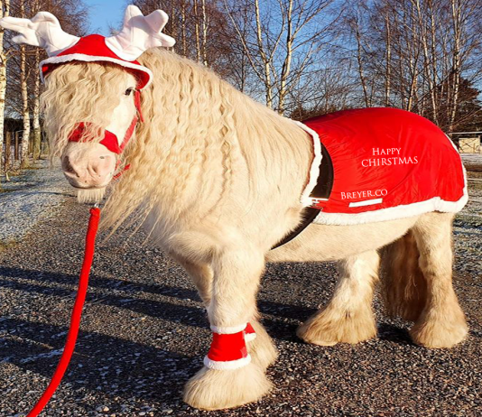 “Happy Christmas vs. Merry Christmas “