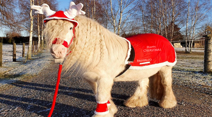 “Happy Christmas vs. Merry Christmas “