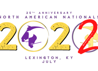 Breyer Model Horse Showing