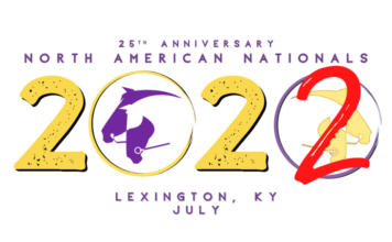 Breyer Model Horse Showing