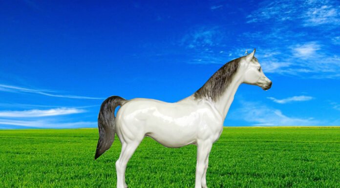 Rare and Highly Collectible Breyer Horses