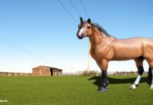 Breyer Horses Of 2022 Breyer Horses Of 2022