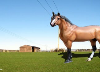 Breyer Horses Of 2022 Breyer Horses Of 2022