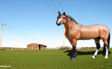 Breyer Horses Of 2022 Breyer Horses Of 2022