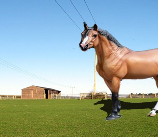 Breyer Horses Of 2022 Breyer Horses Of 2022