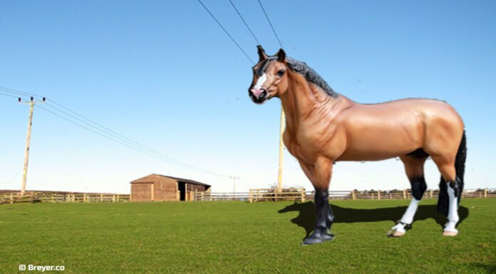 Breyer Horses Of 2022 Breyer Horses Of 2022