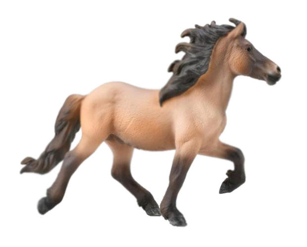 Iceland Stallion