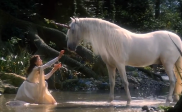 The Reason Why Unicorns Don’t Roam the Earth Unicorns