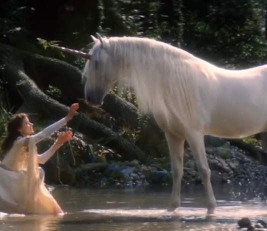 The Reason Why Unicorns Don’t Roam the Earth Unicorns