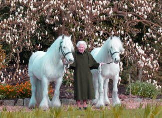 A Tribute to Queen Elizabeth A Tribute to Queen Elizabeth