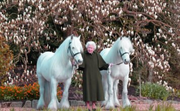 A Tribute to Queen Elizabeth A Tribute to Queen Elizabeth