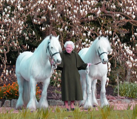 A Tribute to Queen Elizabeth A Tribute to Queen Elizabeth