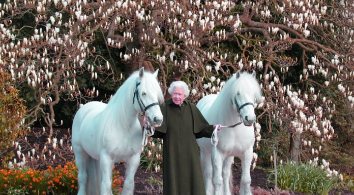 A Tribute to Queen Elizabeth A Tribute to Queen Elizabeth