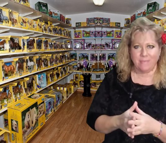 Collaboration Breyer Horses 75% Cheaper than eBay