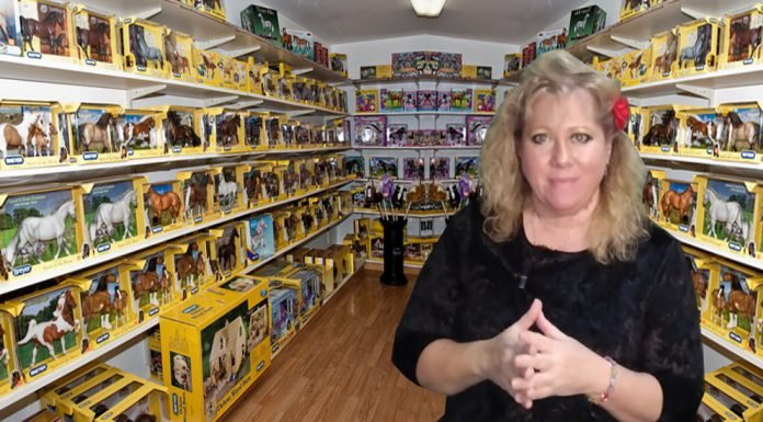 What is Breyer Horse Collection and its Collector